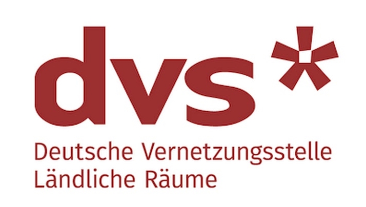 DVS