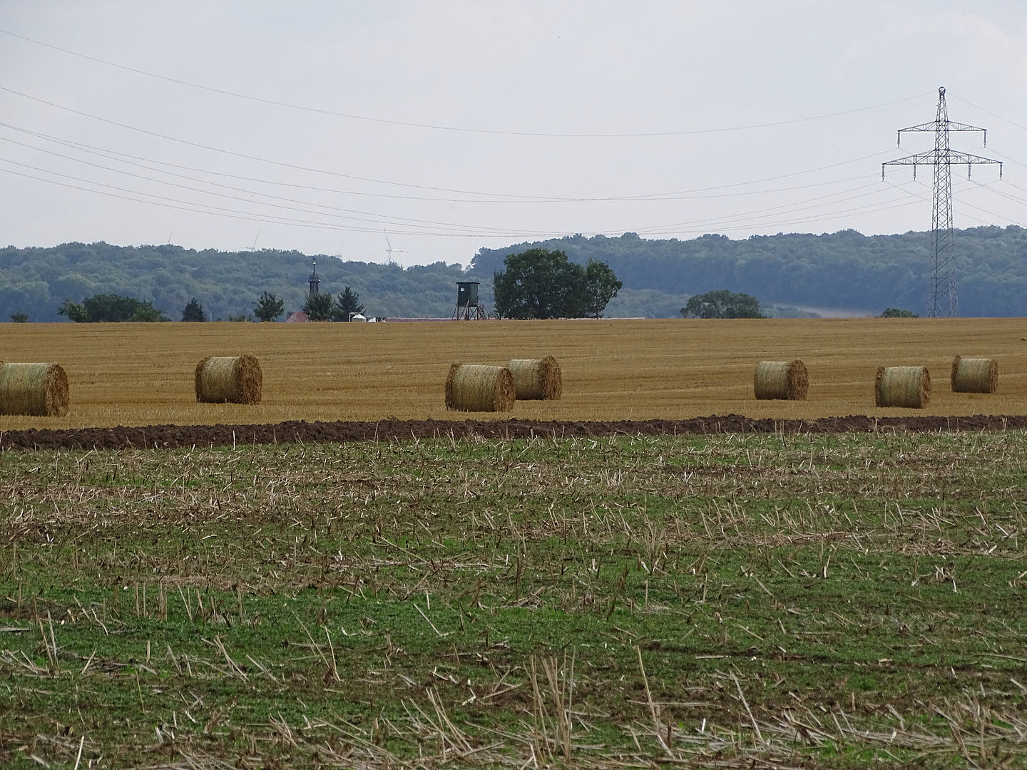 Rundballen auf abgeerntetem Feld