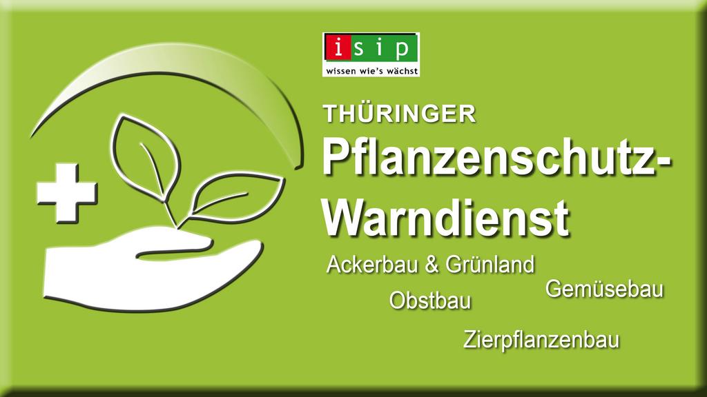 Thüringer Pflanzenschutzwarndienst