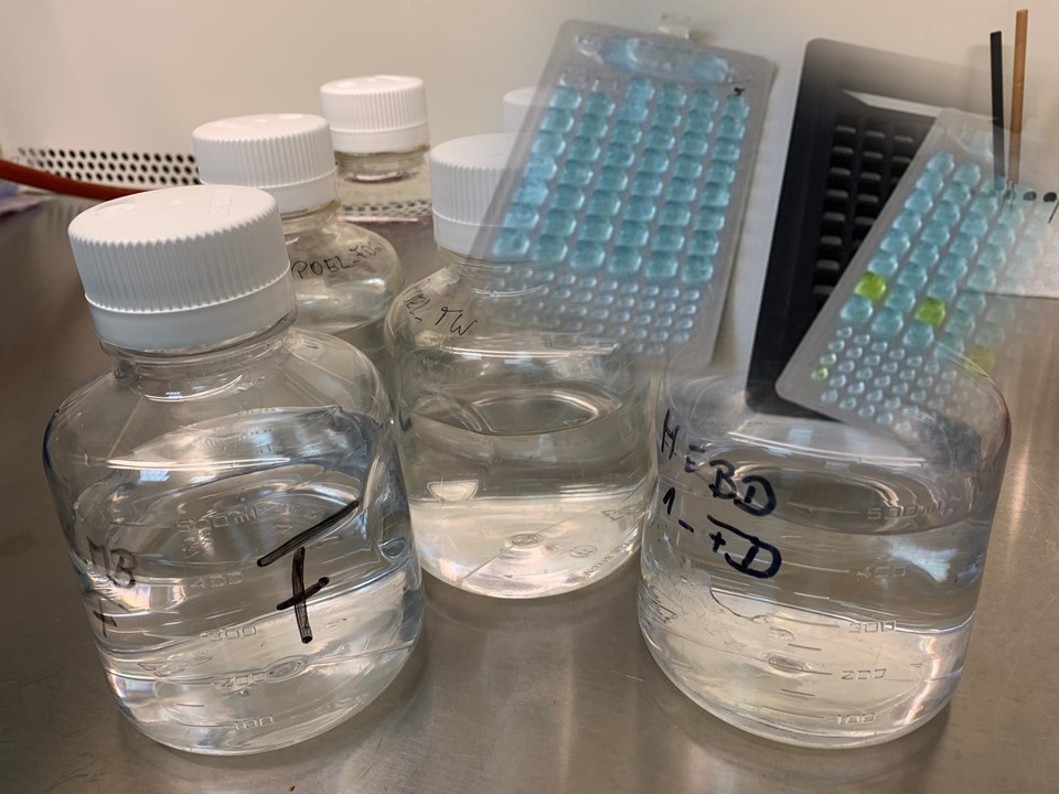 Bildmontage zur Beurteilung der mikrobiologischen Qualität