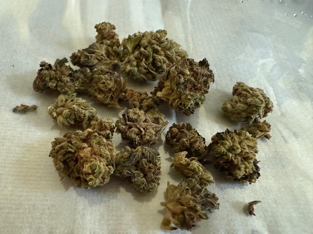 Konsumcannabis