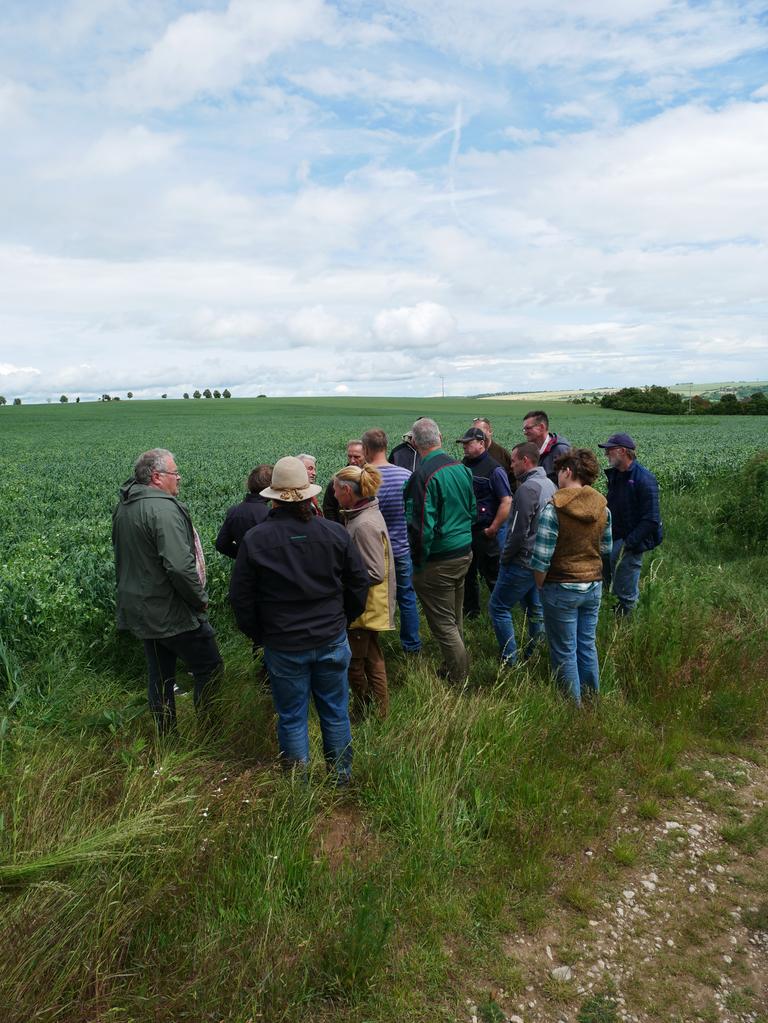 Gruppe Menschen an einem Feld