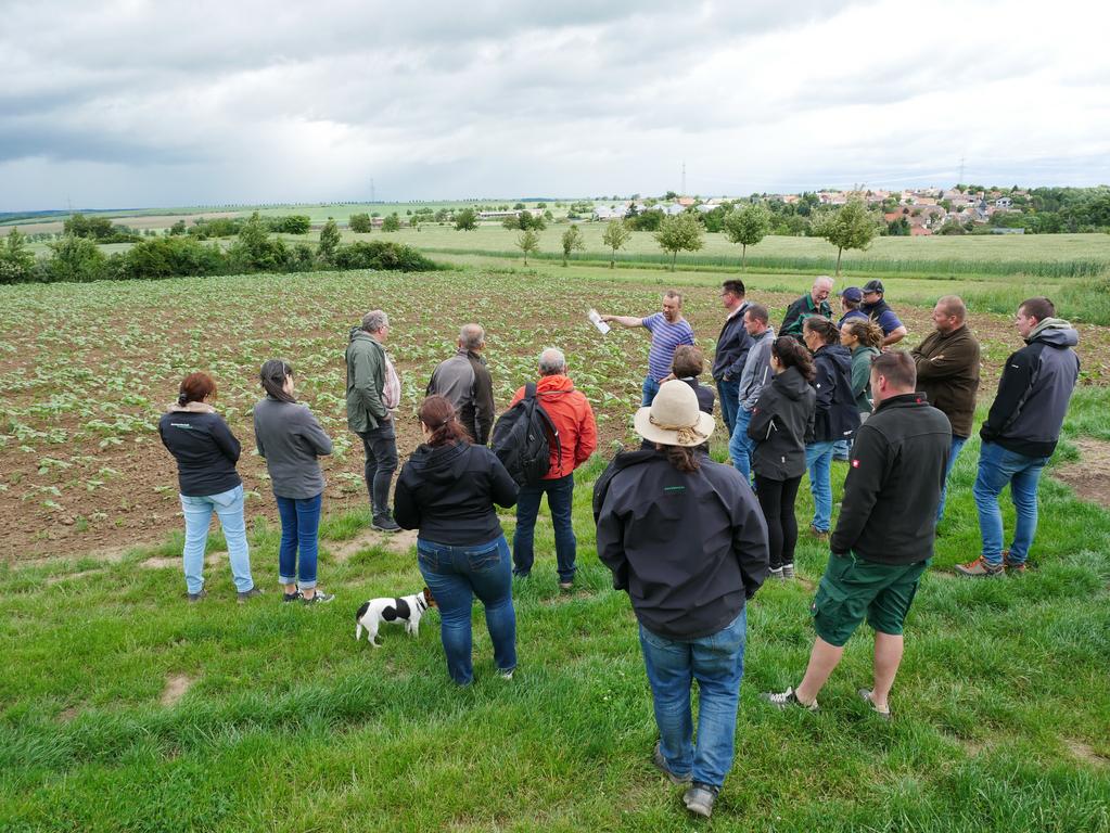Landwirte am Rand eines Feldes