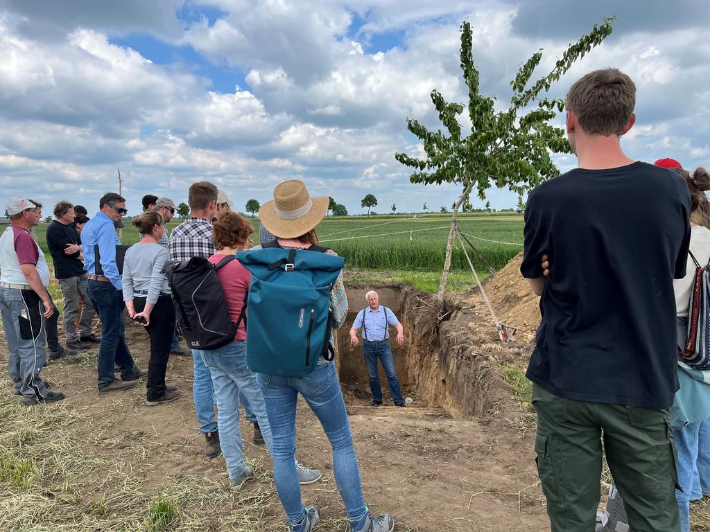 Landwirt Dr. E. Zschoche zeigt das Wachstum der Baumwurzeln an einem Bodenprofil
