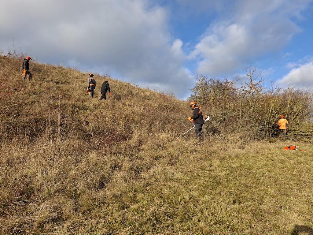 Fünf Personen mit Schutzhelmen und Arbeitskleidung mähen auf einem grasbewachsenen Hang unter blauem Himmel mit Wolken.