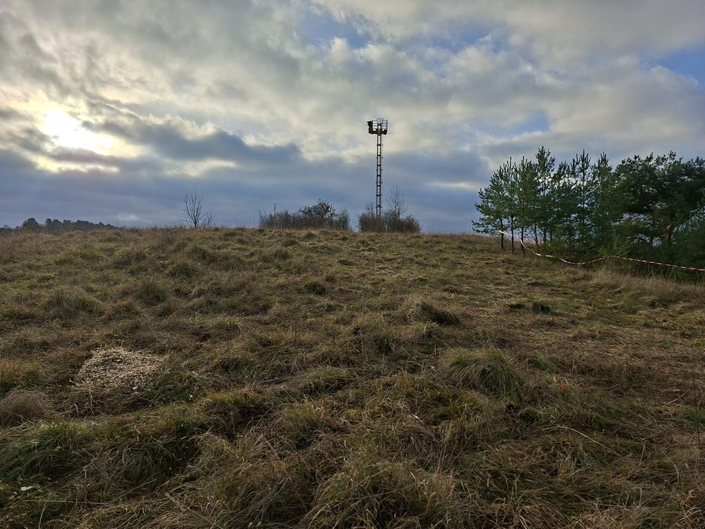Grasbewachsener Hügel mit vereinzelten Büschen und einem hohen Sendemast unter bewölktem Himmel.