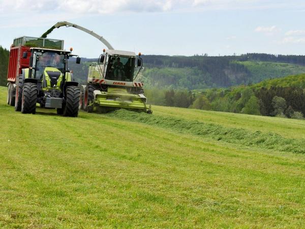 Feldhäcksel und Traktor mit Ladewagen bei der Ernte von Anwelkgut auf einer Grünlandfläche