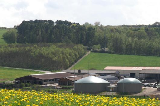 Stallgebäude mit Biogasanlage