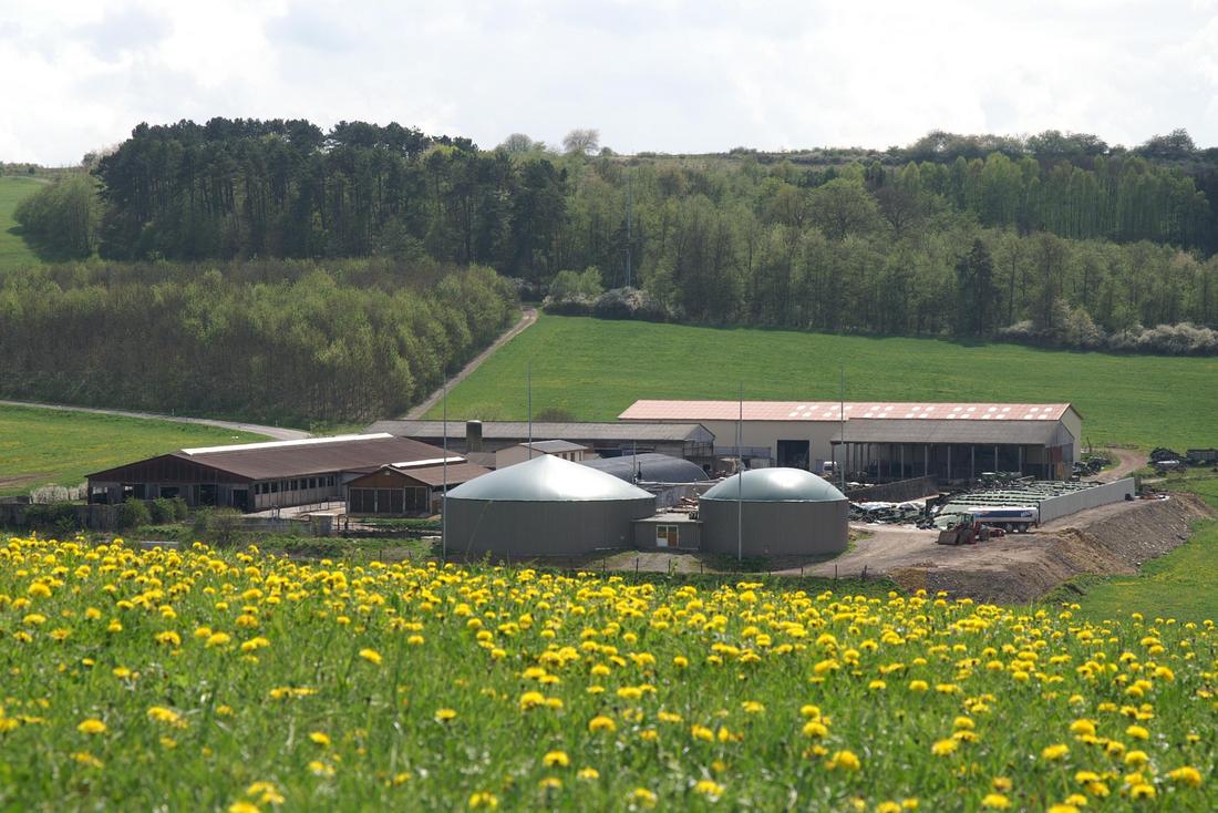 Stallgebäude mit Biogasanlage