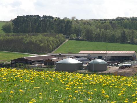 Stallgebäude mit Biogasanlage