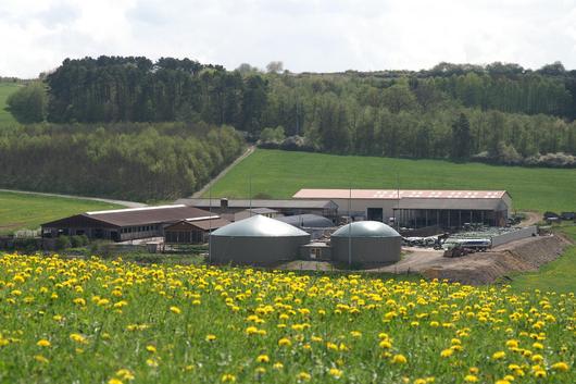 Stallgebäude mit Biogasanlage