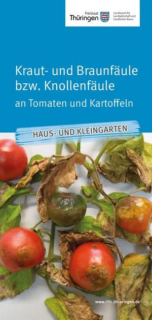 Merkblatt Krautfäule an Tomaten/Kartoffeln