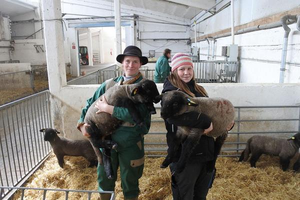 Zwei Personen in Arbeitskleidung halten jeweils ein schwarzes Lamm in einem Stall mit Stroh, weitere Lämmer laufen im Hintergrund.