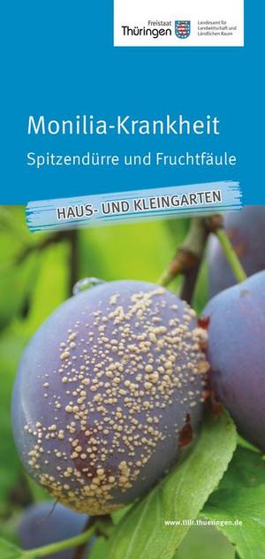 Merkblatt Monilia-Krankheit