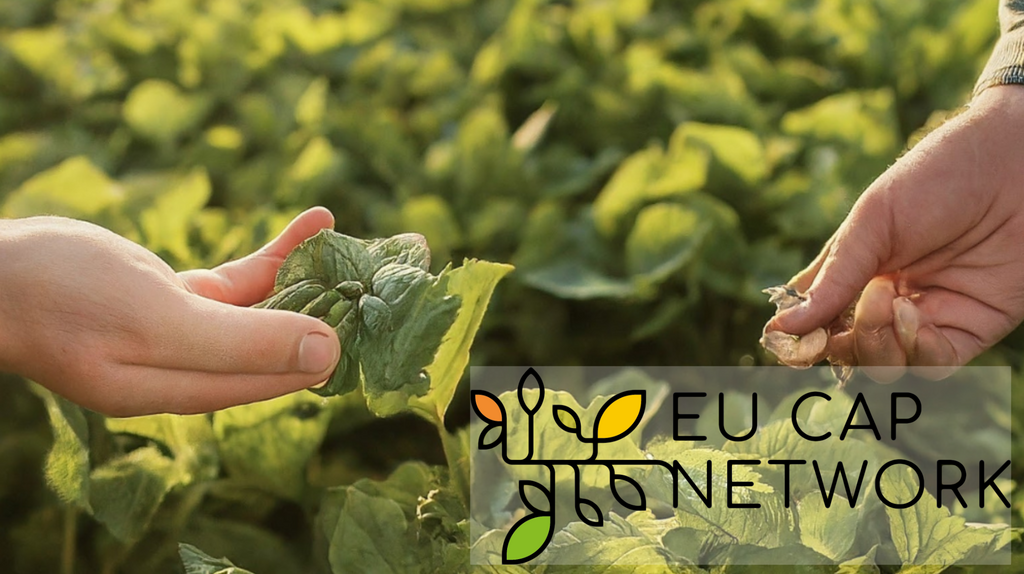 Zwei Hände halten grüne Blätter über einer Pflanze, im Vordergrund das Logo von EU CAP NETWORK mit stilisierten Blättern in Orange, Gelb und Grün.
