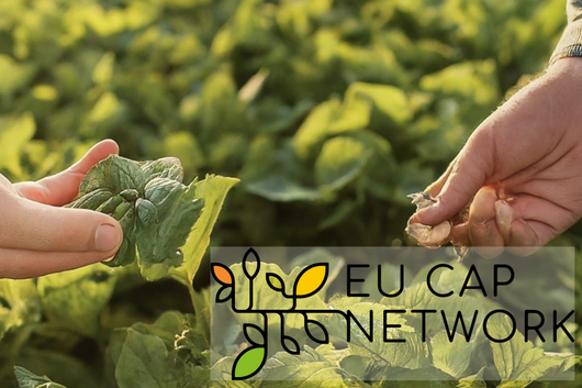 Zwei Hände halten grüne Blätter über einer Pflanze, im Vordergrund das Logo von EU CAP NETWORK mit stilisierten Blättern in Orange, Gelb und Grün.