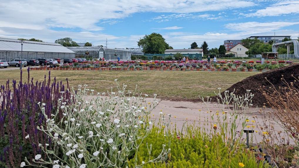 Blick über die Versuchsfläche des Lehr- und Versuchszentrums für Gartenbau