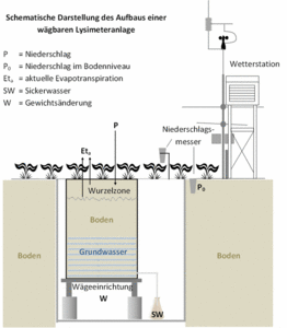 Lysimeter Schema