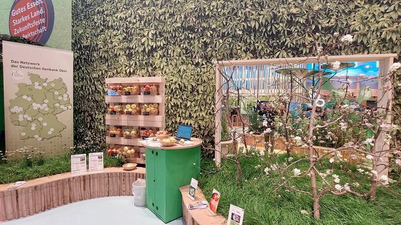 Stand des Netzwerkes Genbank Obst auf der Grünen Woche 2025