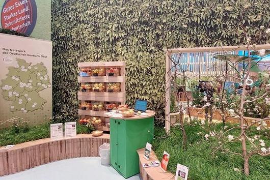 Stand des Netzwerkes Genbank Obst auf der Grünen Woche 2025