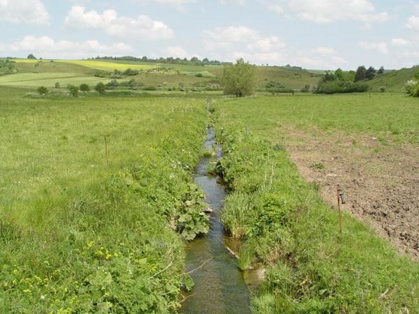 Wasserführender kleiner Graben mit angrenzenden Weideflächen
