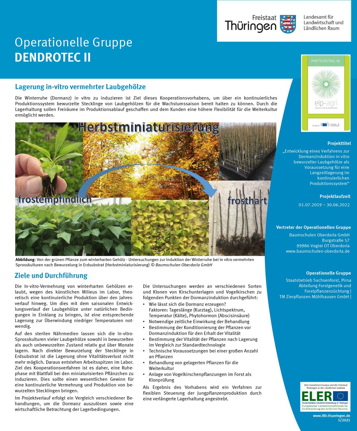 zum Poster des LFE-Projektes (PDF)