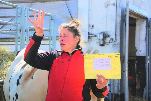 Lehrunterweisung zur Stallkarte bei Milchrindern