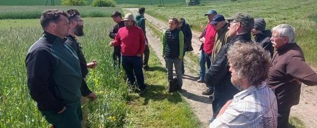 Besucher einer Feldtages zum Thema Leguminosen im ökologischen Landbau