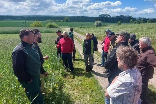 Besucher einer Feldtages zum Thema Leguminosen im ökologischen Landbau
