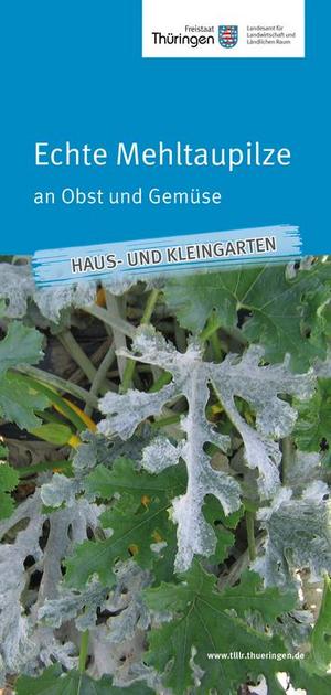 Merkblatt Echte Mehltaupilze an Obst und Gemüse
