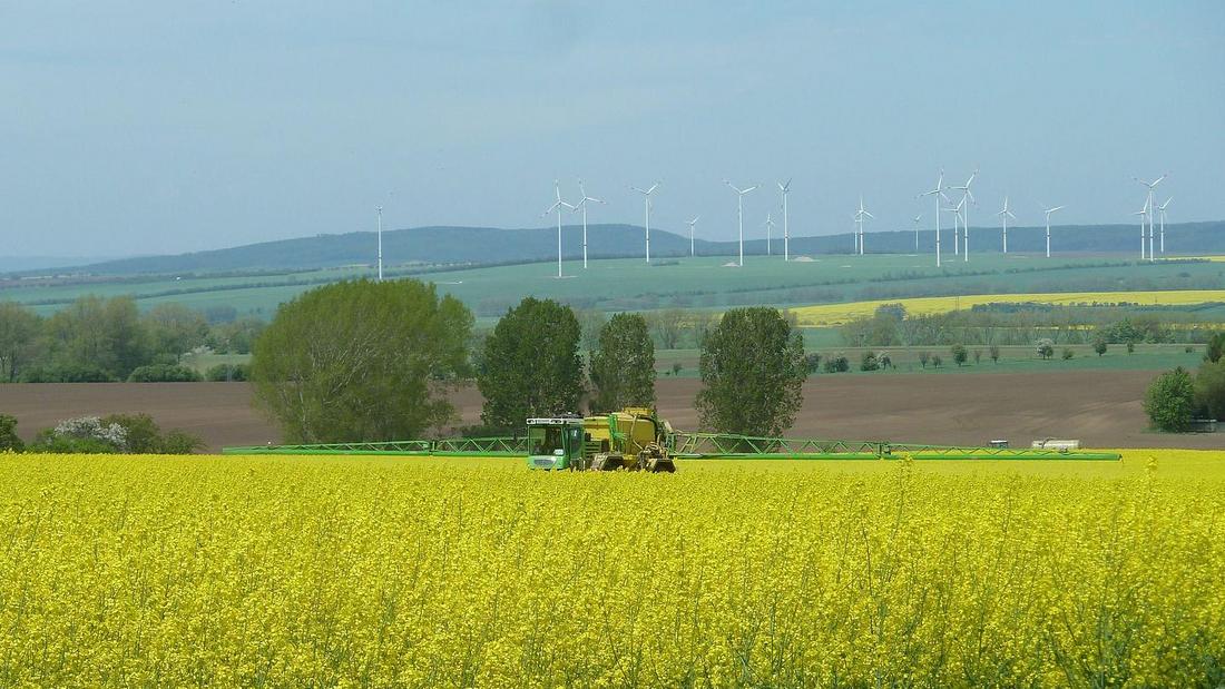 Traktor mit Pflanzenschutzspritze in einem Rapsfeld