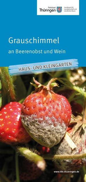 Merkblatt Grauschimmel an Beerenobst und Wein