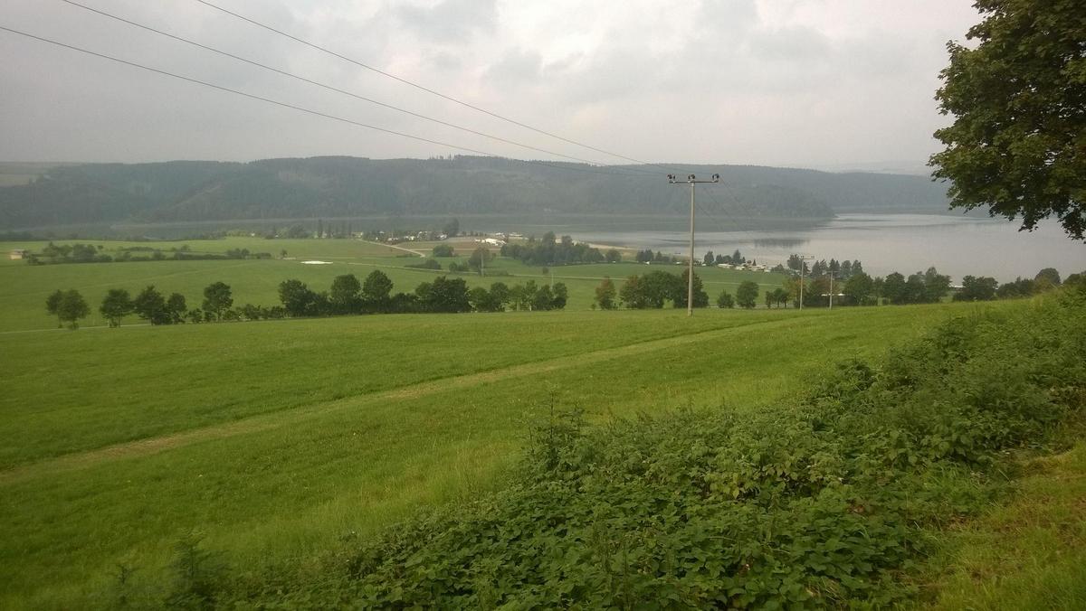 Grünlandflächen im Vordergrund, im Hintergrund Wald und eine Talsperre