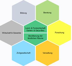 grafische Darstellung der Akteurinnen und Akteure innerhalb eines Agrarischen Wissens- und Innovationssystemes