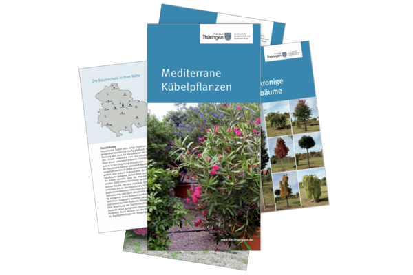 aufgestapelte Merkblätter des Landesamtes