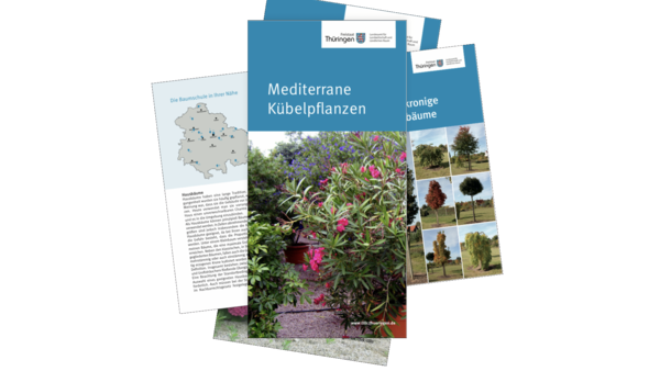 aufgestapelte Merkblätter des Landesamtes