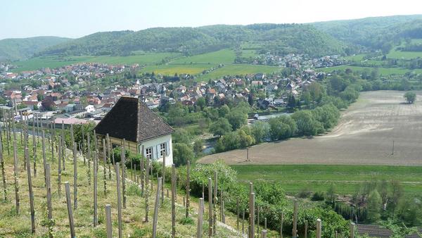Blick auf einen Weinberg und weiter ins Saaletal unterhalb der Dornburger Schlösser