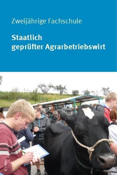 Deckblatt des Merkblatts