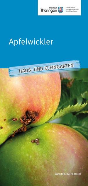 Merkblatt Apfelwickler
