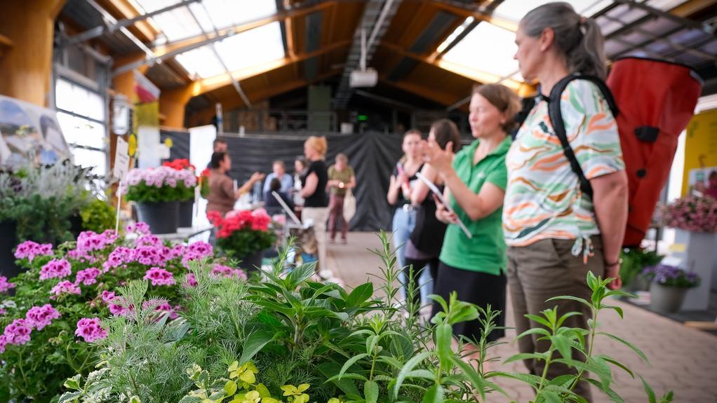 Besucher des "Thüringer Blütensommer" 2025