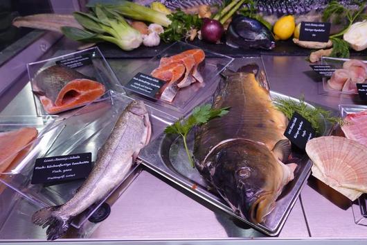 Verschiedene Fische in einer Auslage