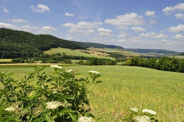 Landschaft mit Feldern, Wiesen, Wald und Feldgehölzen