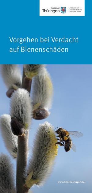 Merkblatt Vorgehen bei Verdacht auf Bienenschäden