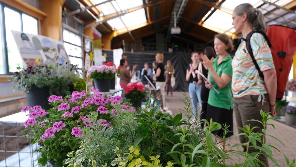 Aussteller und Publikum im Gespräch