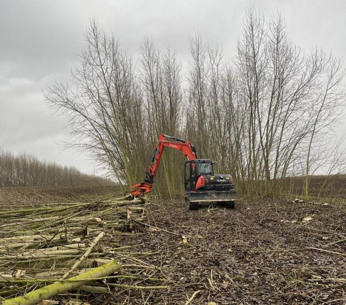 Ernte einer Agroforstanlage (Foto: M. Bärwolff)