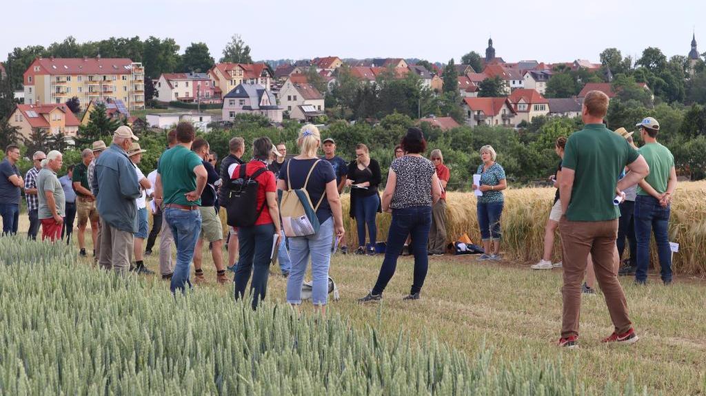 Feldtag Getreide Dornburg 2023