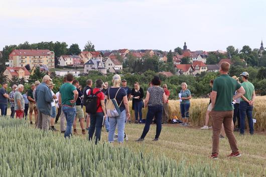 Feldtag Getreide Dornburg 2023