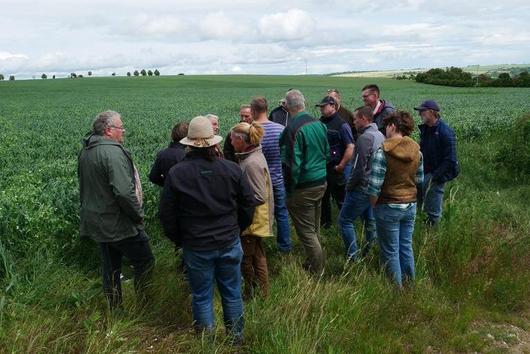 Gruppe Menschen an einem Feld