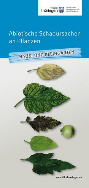 Merkblatt Abiotische Schadursachen an Pflanzen