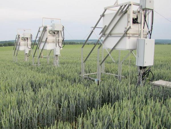 Treibhausgasmessanlage in einem Weizenfeld am Lysimeter bei Buttelstedt